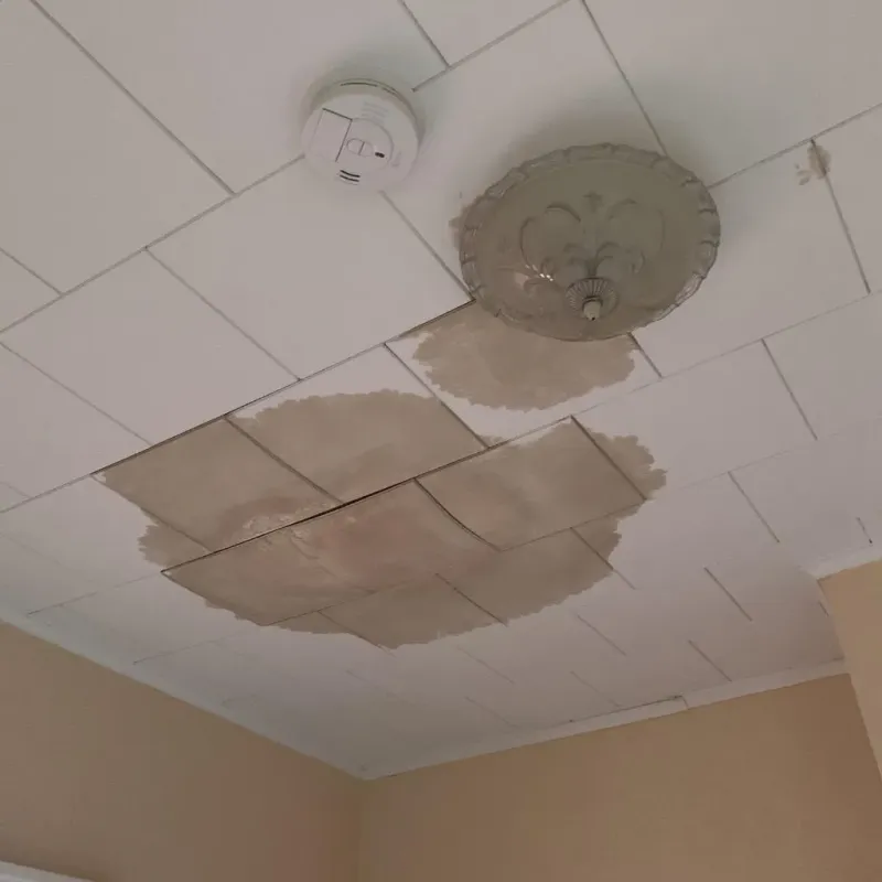 Ceiling Water Damage Repair in Dannemora, NY