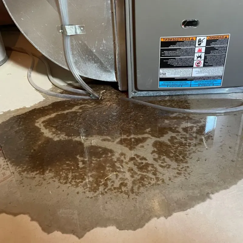 Pipe Burst and Leak Restoration in Dannemora, NY